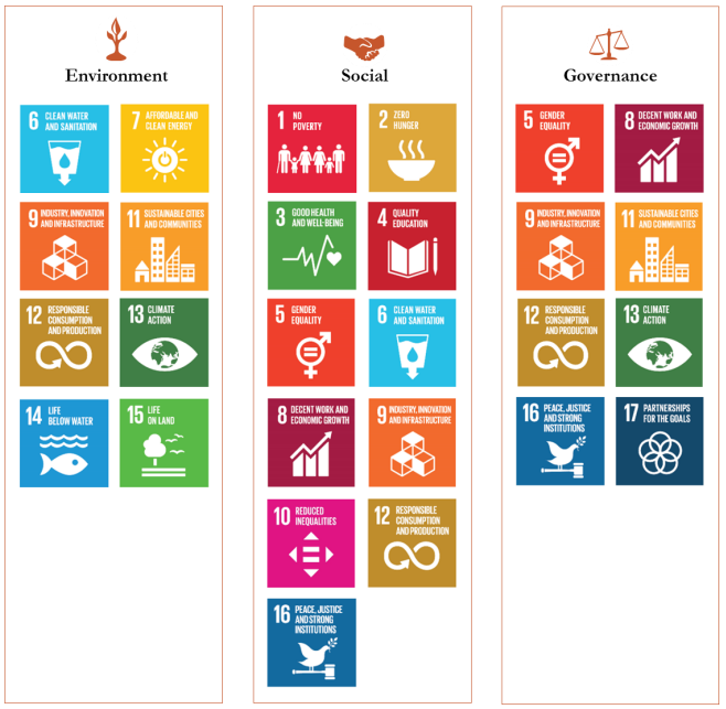  *Mapping the SDGs across the three ESG factors (GIIN, 2018) 